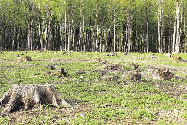 Preocupación. El cambio climático genera cada vez peores consecuencias.