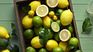 The superfruit high in collagen that slows aging.