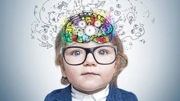 neurociencia y aprendizaje infantil: ¿que debemos hacer para estimular el cerebro?