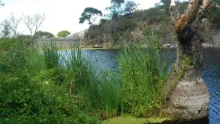 Con una calma única en el país, este lugar es ideal para desconectarse del ruido de la ciudad. Con una calma única en el país, este lugar es ideal para desconectarse del ruido de la ciudad.