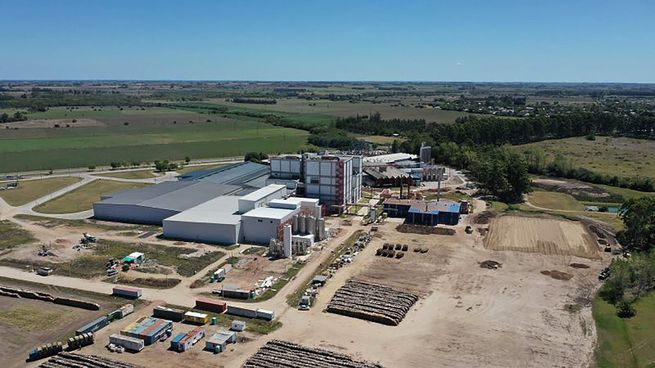 Conaprole normalizó las exportaciones de leche en polvo hacia Brasil desde la planta de Villa Rodríguez (San José).