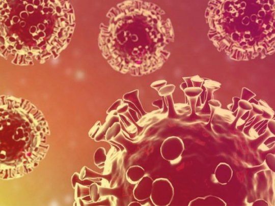 La variante B.1.621 llegó a Brasil.