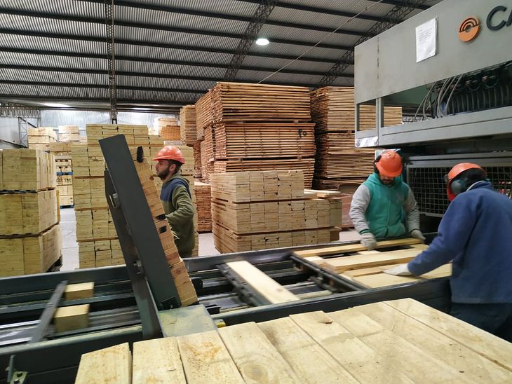 La actividad se redujo drásticamente, y la industria forestal-maderera enfrenta serveros problemas, se reclama que retorne la obra pública, entre otras medidas La actividad se redujo drásticamente, y la industria forestal-maderera enfrenta serveros problemas, se reclama que retorne la obra pública, entre otras medidas