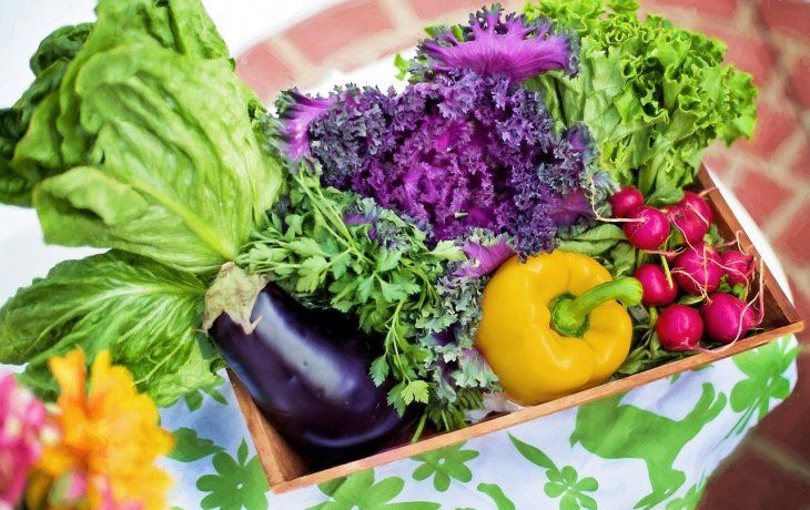 Dentro de las verduras, se destacó la caída en el precio del tomate redondo (-11,7%); en la naranja (-7,4%); en la papa y en el limón (-4,1%).