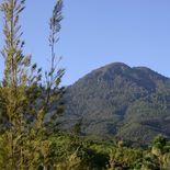 Parque Nacional Benito Juárez de Oaxaca. Parque Nacional Benito Juárez de Oaxaca.