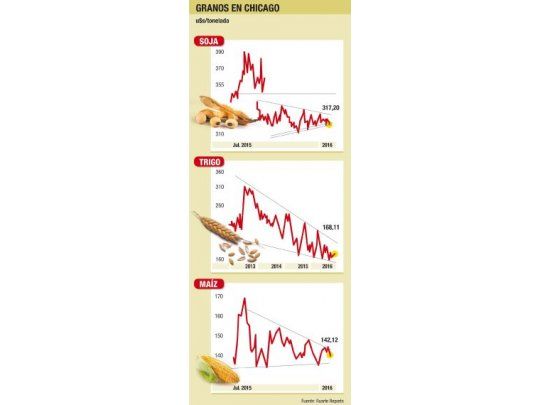 Informe del USDA, positivo para la soja