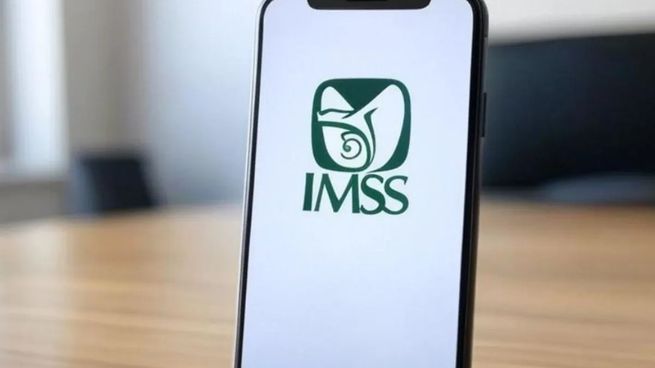 Información clave del IMSS. Checa todo lo que tienes que saber.