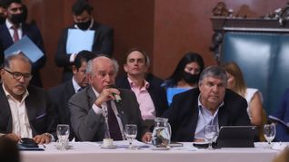 Senado: el oficialismo dio dictamen al proyecto para para pagarle al FMI con dólares fugados