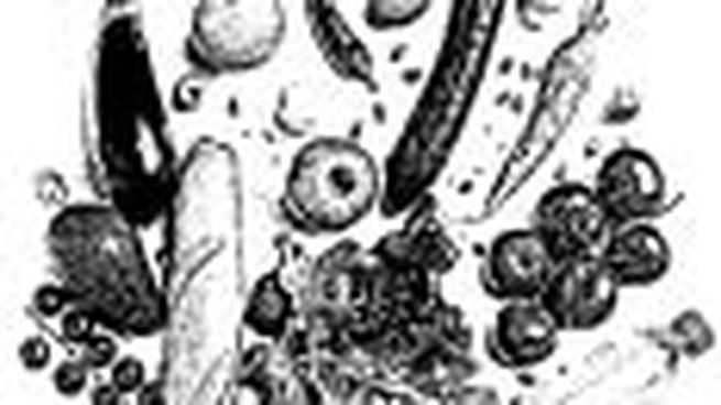 alim-varios 5_opt.jpeg