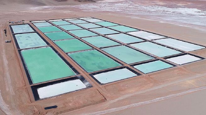 Sal de Vida. La estimación de recursos de 6,85 millones de toneladas de carbonato de litio equivalente (LCE) tiene una ley promedio de 752 ppm de Li y bajos niveles de impurezas, lo que convierte a Sal de Vida en una de las salmueras de mayor calidad a nivel mundial. La estimación de la Reserva de 1,74 millones de toneladas de LCE respalda una vida útil del proyecto de 40 años.