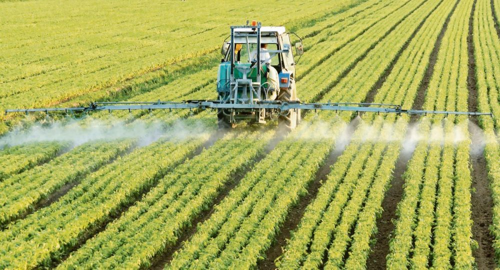 en el campo. El herbicida glifosato es el más utilizado en la agricultura moderna y es comercializado por un sinfín de empresas.