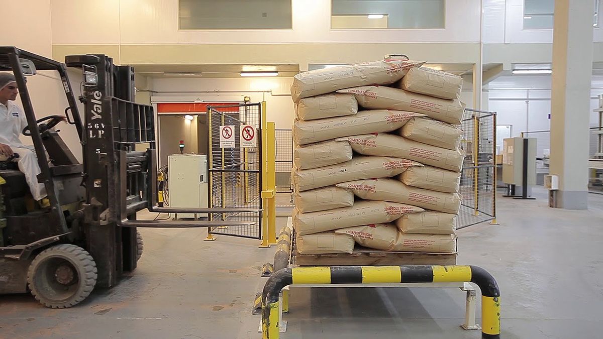 Dairy exports fell 7% year-on-year