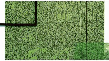 ámbito.com | Kampelmacher. Vegetación y marcos: la artista presenta en la galería Nora Fisch imágenes de la naturaleza y formula una teoría sobre los marcos que pretenden recortarla.