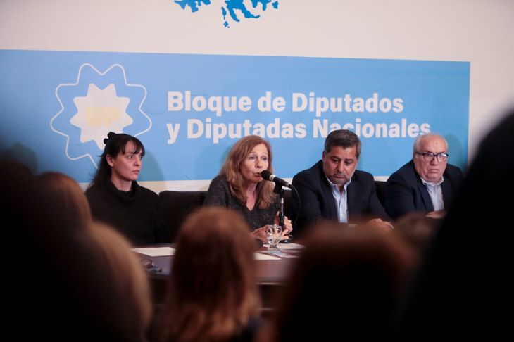 Familiares de los detenidos testimoniaron en la Cámara de Diputados. Familiares de los detenidos testimoniaron en la Cámara de Diputados.