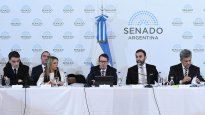 El secretario de Hacienda, Carlos Guberman, participó del debate en el Senado.