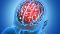 Harvard: cerebro.