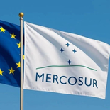 El primer país del Mercosur en ratificar podrá usar el 100% de la cuota UE hasta que los demás se sumen. El primer país del Mercosur en ratificar podrá usar el 100% de la cuota UE hasta que los demás se sumen.