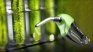 Since September 2021, bioethanol prices have been updated monthly by the Ministry of Energy. Since September 2021, bioethanol prices have been updated monthly by the Ministry of Energy.
