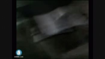 Así votaron Lula y los principales candidatos