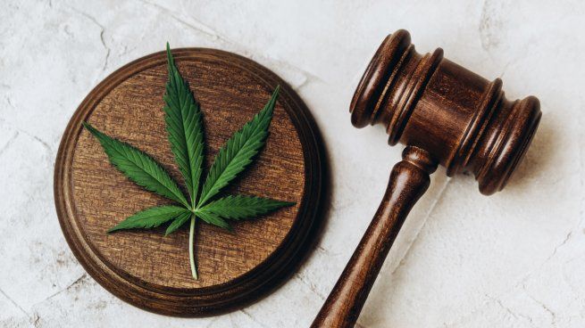 La guerra contra las drogas fracasó, aseguró la ministra escocesa Elena Whitham.