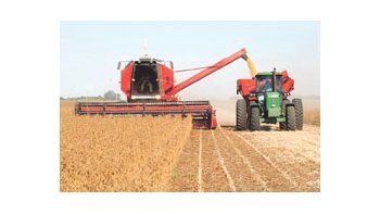 La soja sufre los efectos de la sequía, y el rinde inicial promedio se calcula en 19,6 quintales por hectárea, una baja productiva de más de 700 kilos respecto del ciclo precedente.
