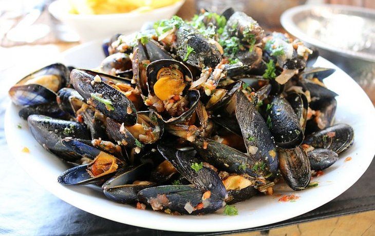 Los caparazones de los mejillones albergan microplásticos y dan cuenta del estado de contaminación marino.&nbsp;