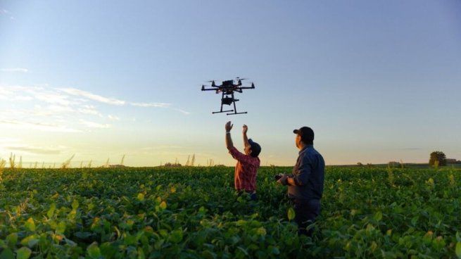 La IA y las herramientas digitales están revolucionando la agricultura y las prácticas sustentables, sostienen.