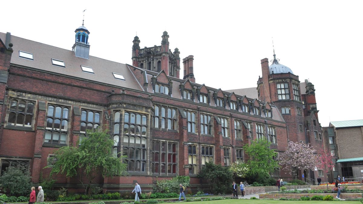 A university in the United Kingdom grants a 50% scholarship for young students: how to apply to emigrate?