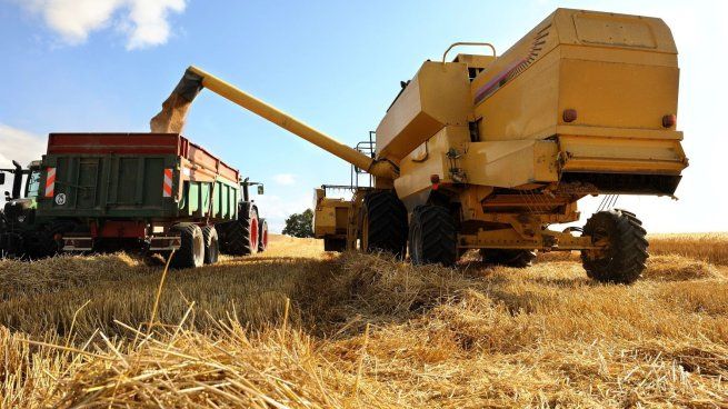 El sector se mueve en un manejo agronómico eficiente y una administración financiera meticulosa.
