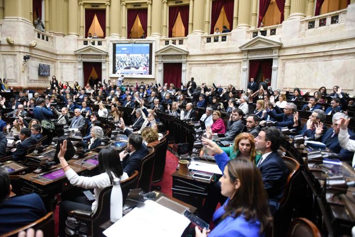 Diputados durante la sesión del veto de jubilaciones.