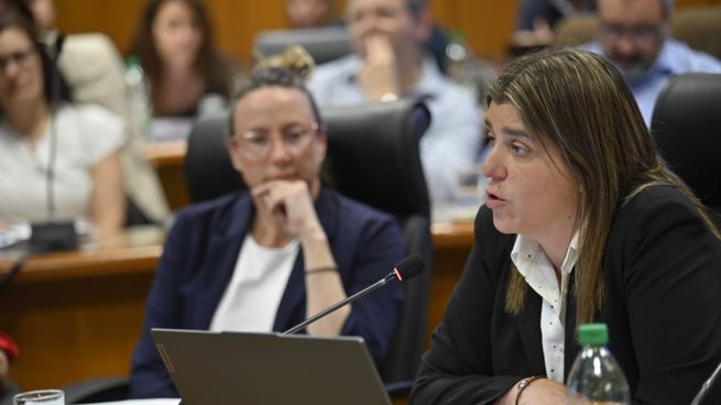 La ministra de Vivienda y Ordenamiento Territorial, Tamara Paseyro, presentó ante la Comisión de Hacienda y Presupuesto del Senado el Plan Quinquenal de Vivienda y Hábitat 2025–2029.
