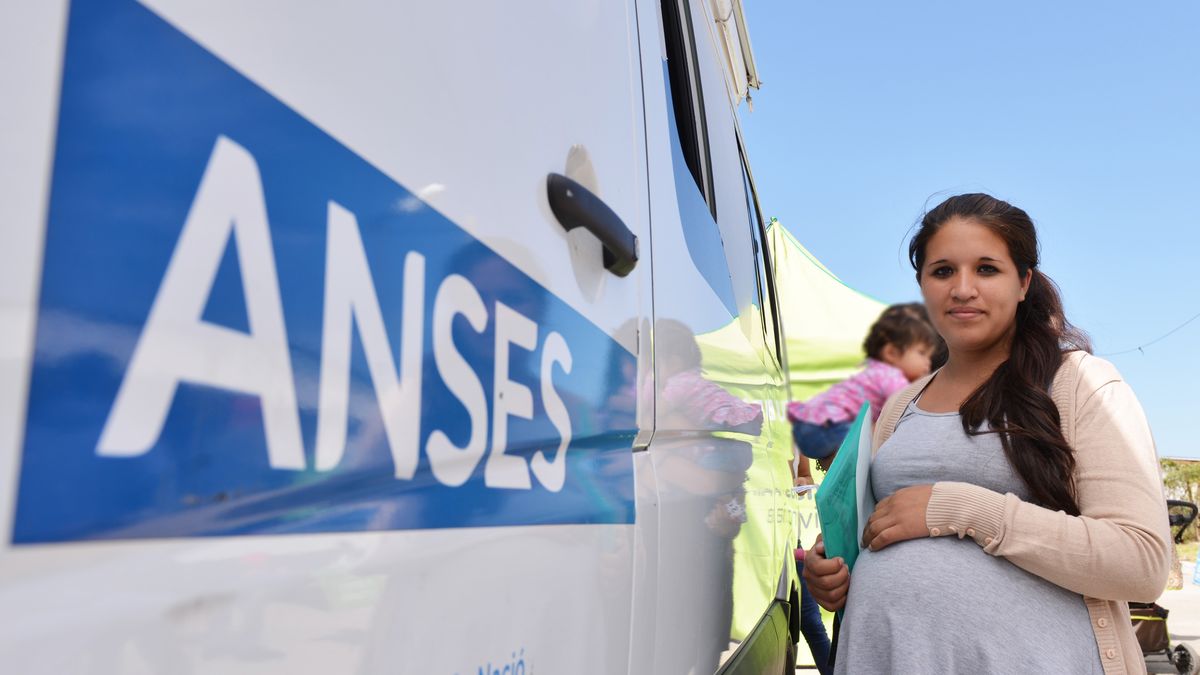 AUH de ANSES: cómo cobrar el plus de 20%