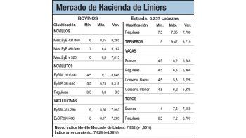 Continúan precios altos por las buenas ventas