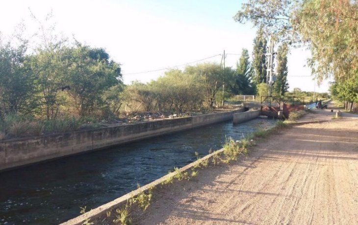 Denunciaron que hay un gorila suelto en un pueblo de San Luis