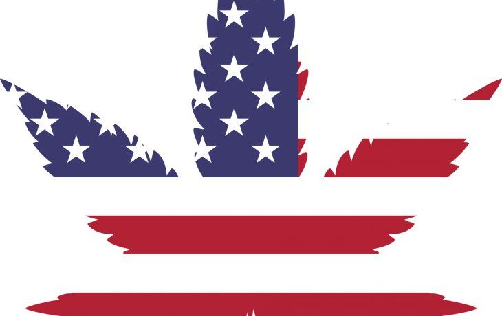 ámbito.com | cannabis.png