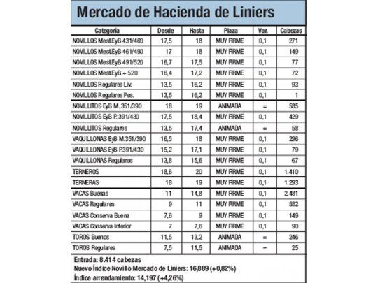 Mercado de Liniers: novillo subió 0,82%