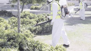 La vacuna contra el Dengue ofrece una esperanza para el futuro.