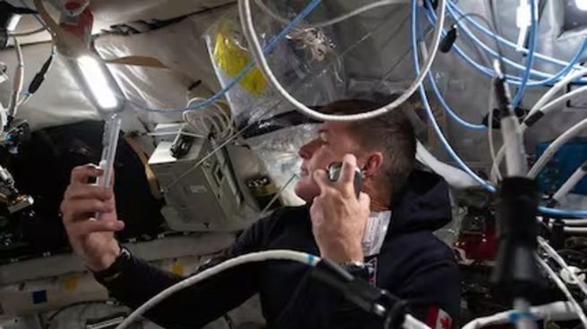 Conocé el modelo de celular que utilizán los astronautas de Artemis II.