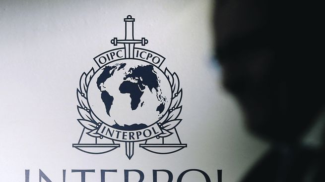 Megaoperativo De Interpol Contra Tráfico De Armas En América Latina Llevó Al Arresto De 14 Mil