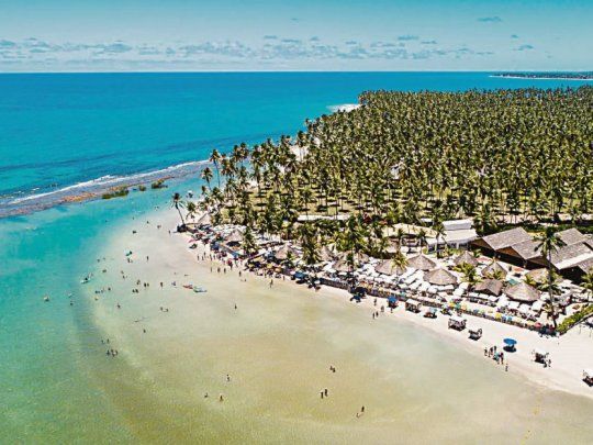 Paraíso. Palmeras, cocoteros y mar conforman este edén.&nbsp;