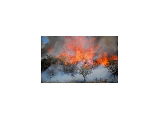 Córdoba: declaran emergencia agropecuaria en zonas afectadas por incendios