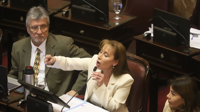 Cristina López, representante de Tierra del Fuego en el Senado de la Nación.