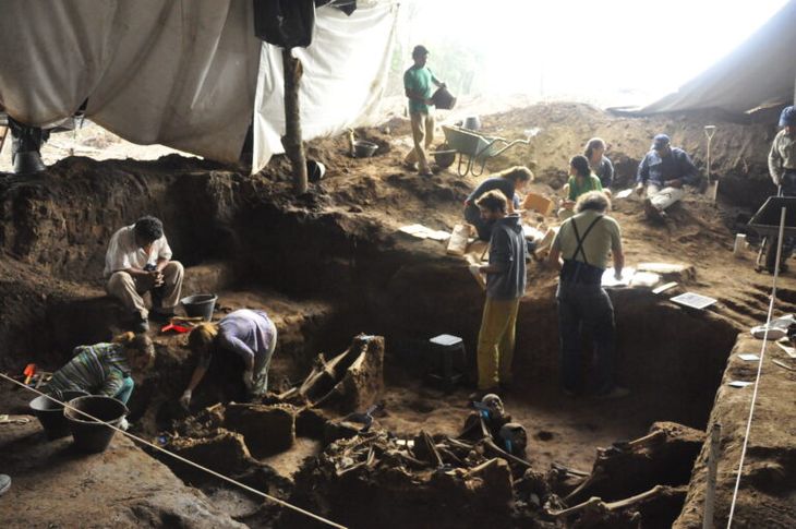 En las fosas en En las fosas en