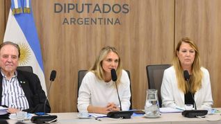 Diputados se reunirán en un plenario de las comisiones de Seguridad y Previsión Social, que preside Gabriela Brouwer (UCR), y de Presupuesto y Hacienda, a cargo de José Luis Espert (LLA).