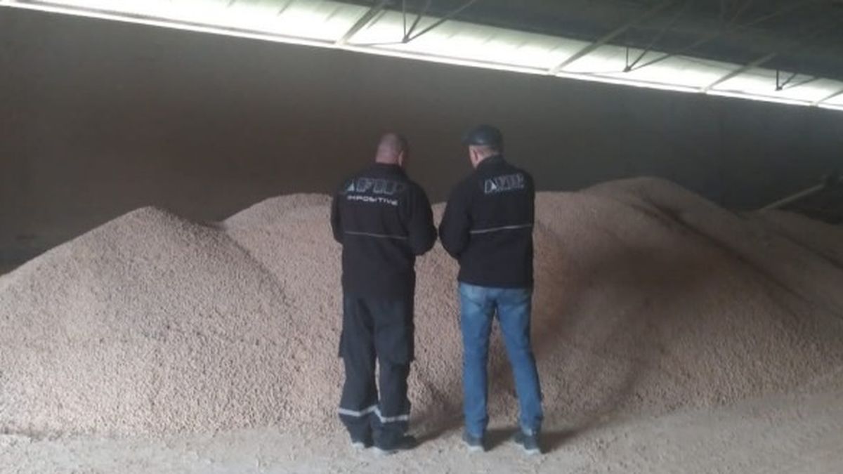 The AFIP seized 640 tons of grains valued at $50,000,000