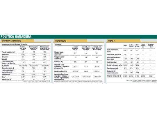 Producir novillo a campo es un 40% más barato que en feedlot