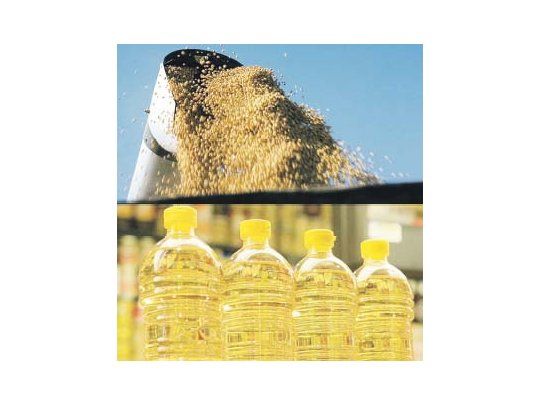 El aceite de soja es uno de los productos que más bajaron en los últimos doce meses, un 16%, sólo superado por la avena (39%).