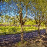 Uno de los pueblos más pintorescos y naturales de la provincia de Buenos Aires. Uno de los pueblos más pintorescos y naturales de la provincia de Buenos Aires.