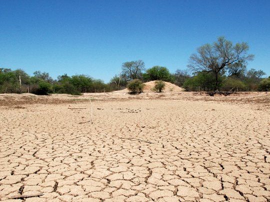 Preocupa la sequía en la parte productora de soja del país. Entre Ríos, en alerta por la falta de lluvias.&nbsp;