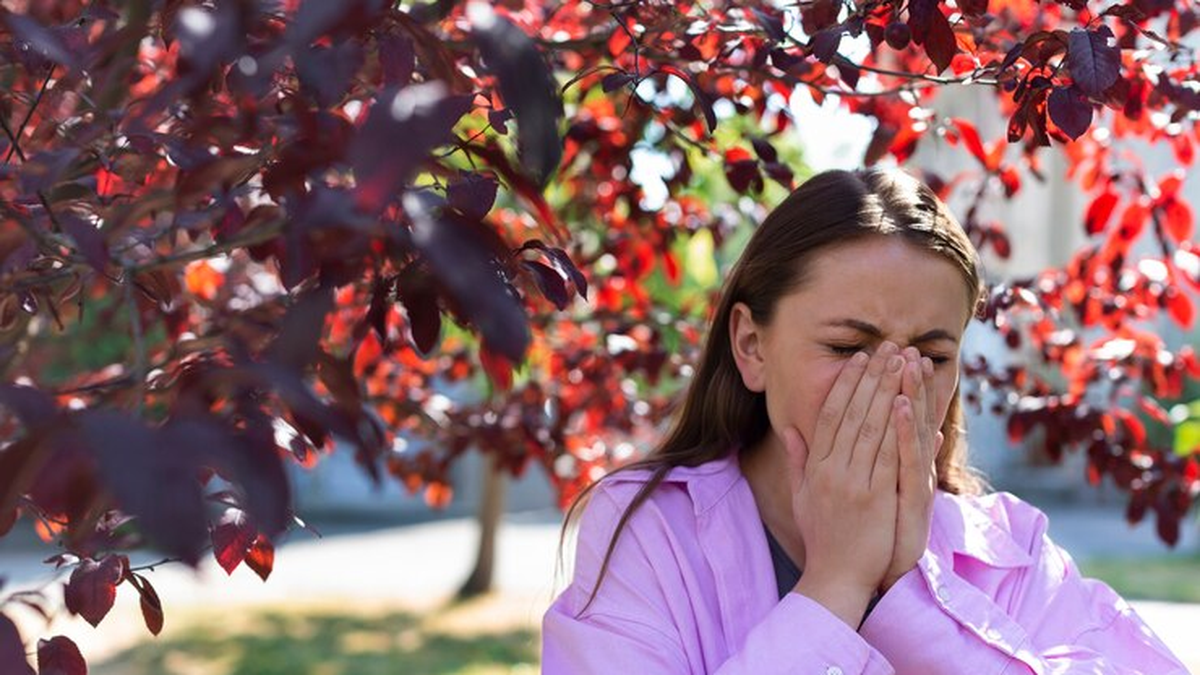 What’s behind summer allergies: which are the most common and how to avoid them